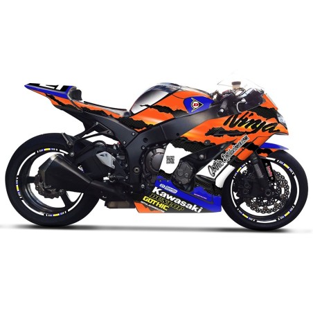 Kawasaki Ninja zx10r