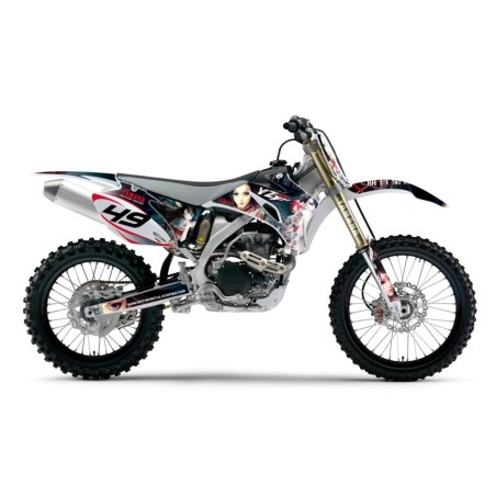 Yamaha YZF 2007 al 2009