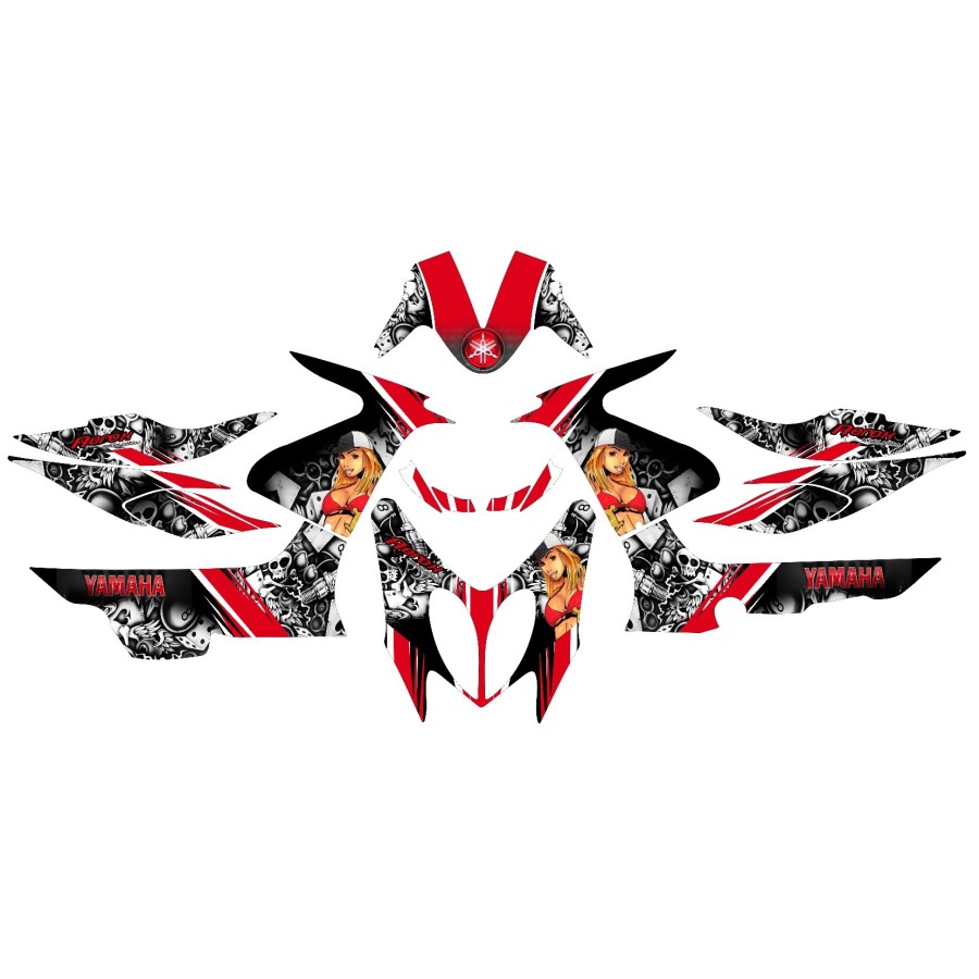 kit adhesivo scooter