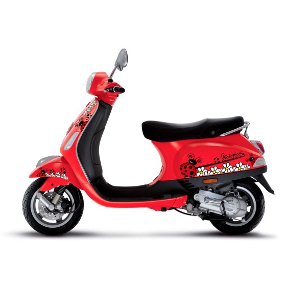kit adhesivo scooter